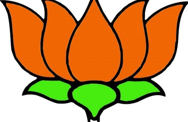 चुनाव आयोग में शिकायत कर भाजपा ने दुमका डीडीसी को चुनाव कार्य से मुक्त करने का किया आग्रह.