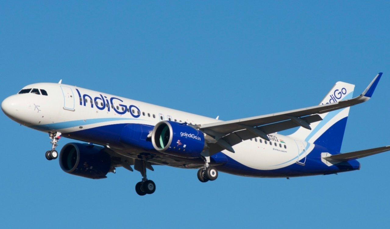 Indigo