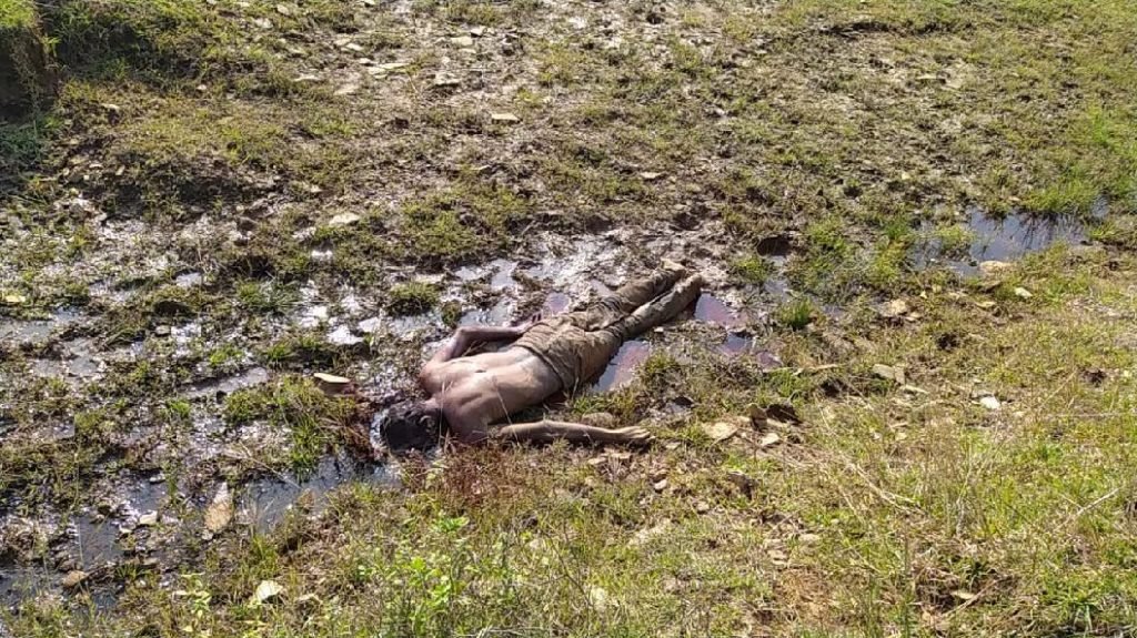 IMG 20201026 WA0004 resize 8