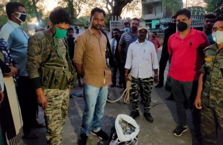 बगोदर पुलिस ने साढे छ: किलो किया गांजा जब्त एक गिरफ्तार.