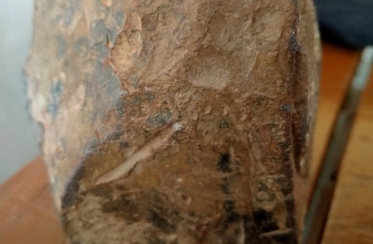 टोंगरा गढ़ से विचित्र धातु का टुकड़ा मिला.