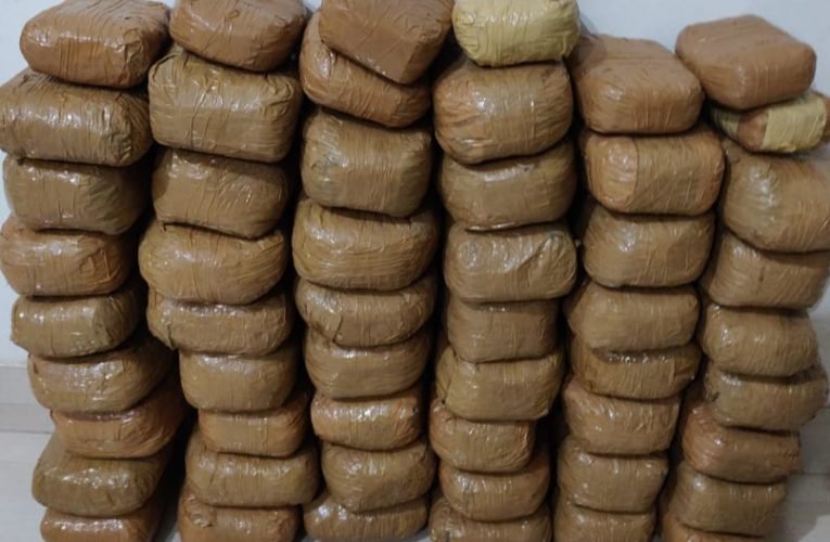 50 किलो गांजा के साथ दो गिरफ्तार.