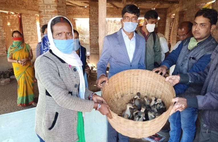 एसएचजी समूह की महिलाओं के बीच बत्तख के चूजे का किया गया वितरण.