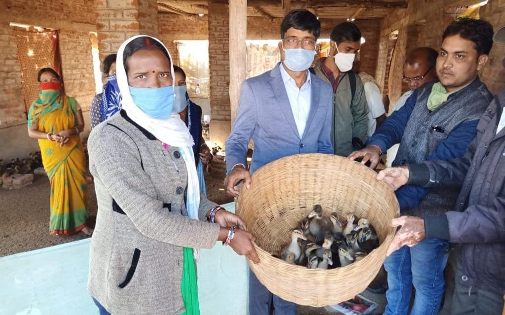 एसएचजी समूह की महिलाओं के बीच बत्तख के चूजे का किया गया वितरण. 4 20201125 221509