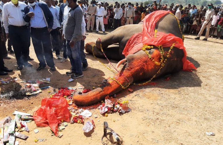 ऑक्सीजन की कमी से हुई हाथी की मौत.