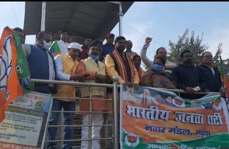 बीजेपी के नेताओं ने मनाया संविधान दिवस.