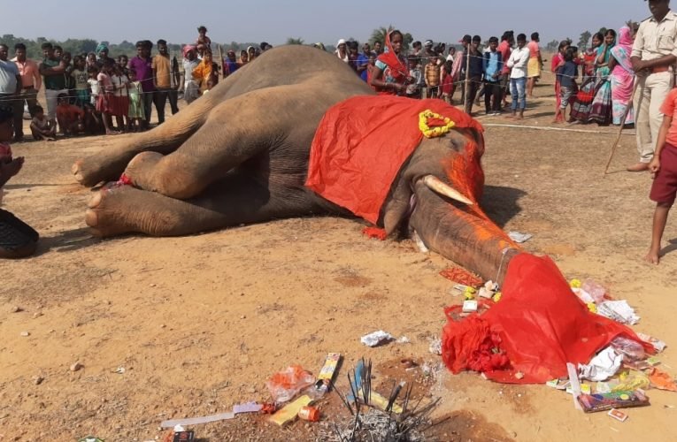 हाथी की मौत के बाद घटना स्थल पर लगी लोगो की भीड़