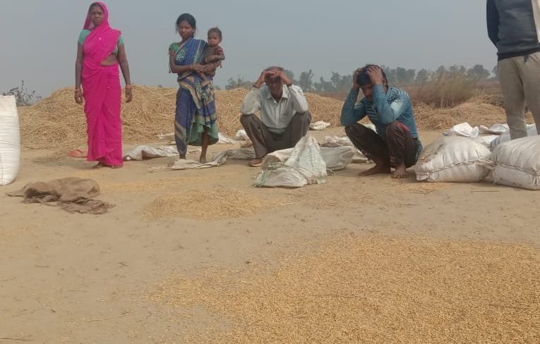 पीरटांड़ में हाथियों ने बीती रात मचाया उत्पात, खलिहान में रखे धान को किया बर्बाद.