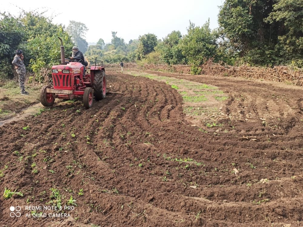 पुलिस विभाग और वन विभाग की संयुक्त कार्यवाई में चार एकड़ में लगी अफीम की फसल को किया गया नष्ट. 7 IMG 20201231 WA0037
