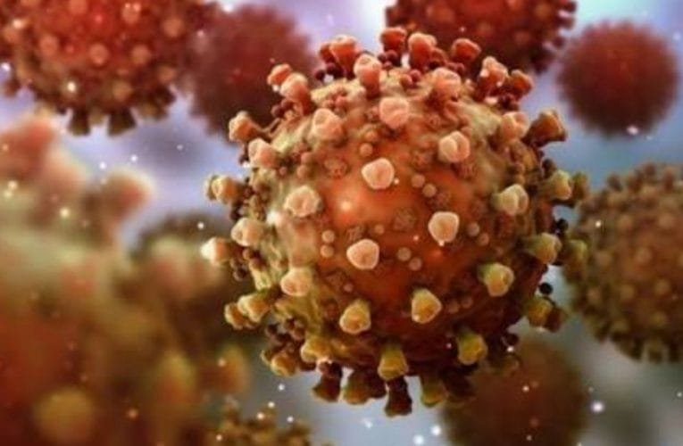 झारखंड में कोरोना मरीजों का आंकड़ा 111003 पहुंचा.