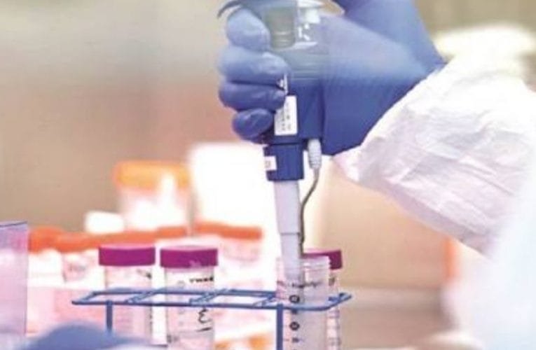 झारखंड में कोरोना मरीजों का आंकड़ा 111177 पहुंचा.