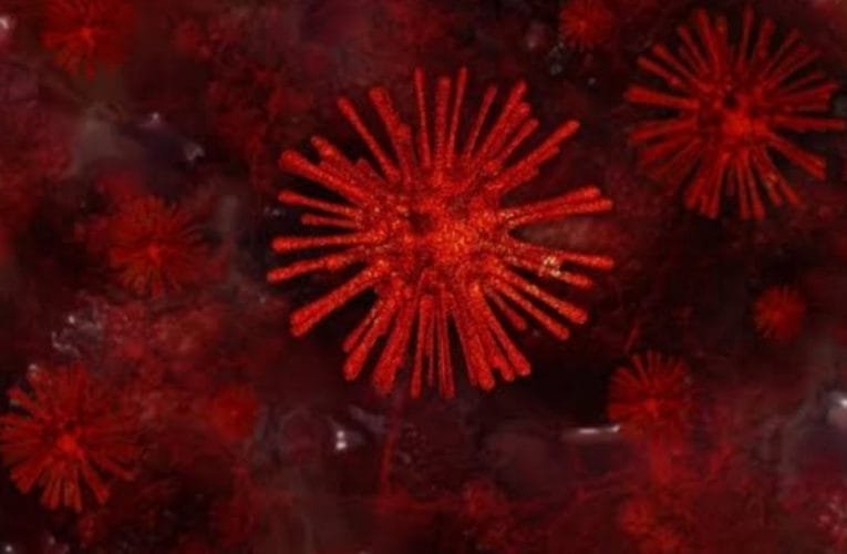 झारखंड में कोरोना मरीजों का आंकड़ा 113609 पहुंचा.