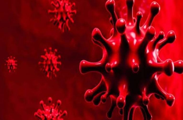 झारखंड में कोरोना मरीजों का आंकड़ा 114146 पहुंचा.