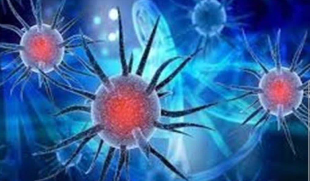 SmartSelect 20210105 103940 Google 1