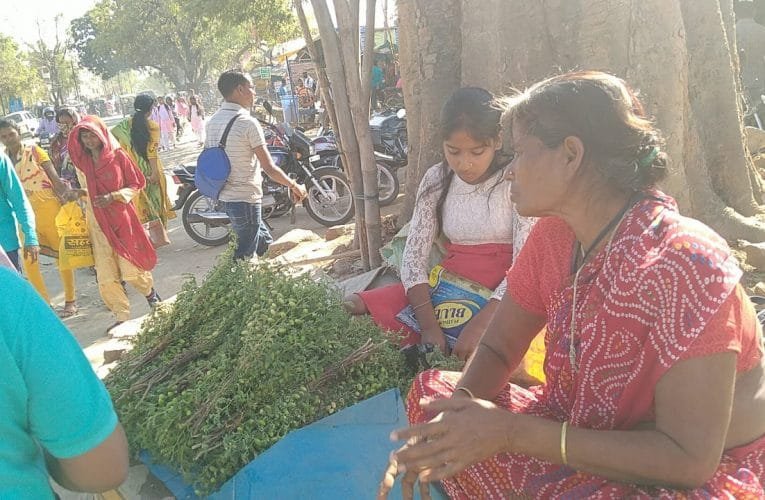 पालिनी अडानी और हेमंत सरकार के ट्वीट पर दिनभर चर्चा में रही.