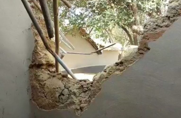 जामताड़ा में जंगली हाथियों ने मचाया उत्पात.