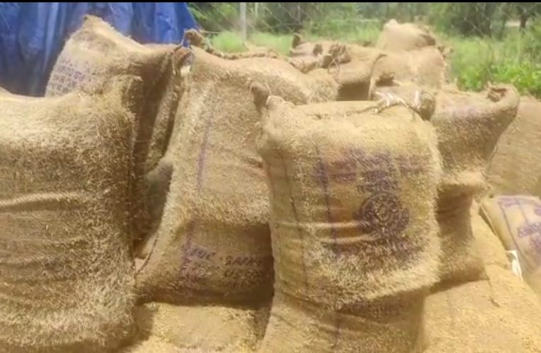 किसानों के हजारों क्विंटल धान हुआ खराब, एफसीआई के अधिकारी की लापरवाही का नतीजा.