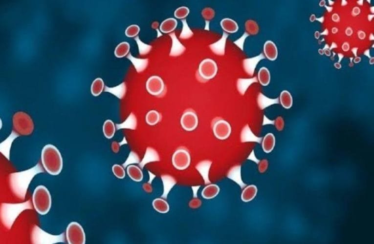 कोरोना संक्रमित मृतकों के आश्रितों को मिलेगा सरकारी योजनाओं का लाभ.