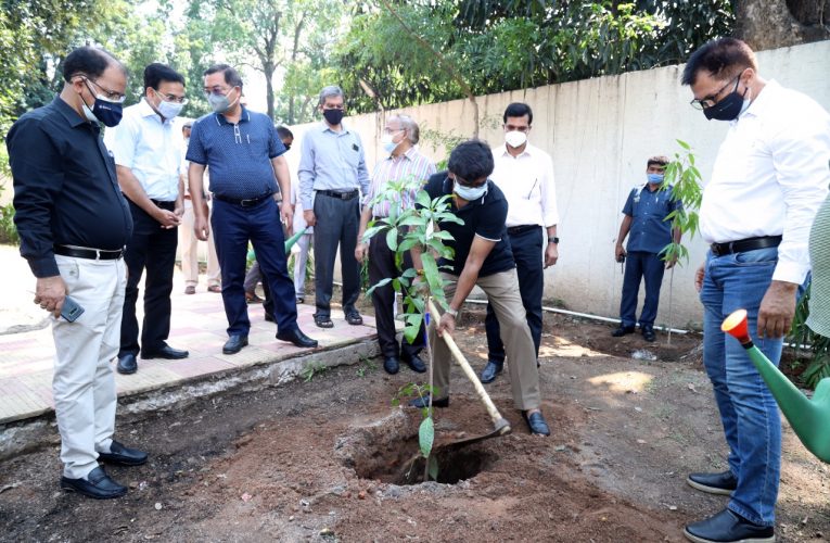 मुख्यमंत्री नें विश्व पर्यावरण दिवस के अवसर पर वृक्षारोपण किया.