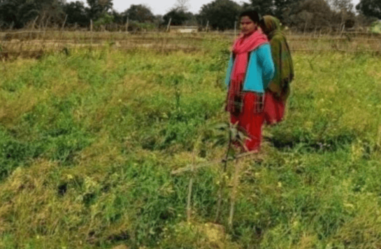 सरकारी योजनाओं (Sarkari Yojana)से जुड़ कर संवर रही हैं महिलाओं की जिंदगी