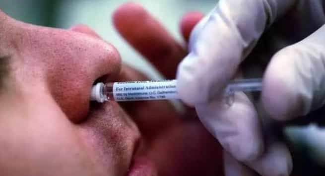 Covid 19 :- ख़त्म होने को है इंतजार  26 जनवरी को लॉन्च होगी देश की पहली कोरोना नेजल वैक्सीन, जानें कौन लगवा सकेगा