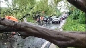 चार दिन से हो रही मूसलधार बारिश झारखंड में कहीं जन जीवन अस्त-व्यस्त,तो कहीं गिर रहे सड़कों पर विशाल वृक्ष,आवागमन हो रहा बाधित 5 Screenshot 2024 09 16 14 22 39 205 com.whatsapp