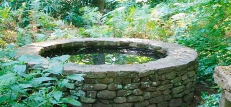 गढ़वा में प्रेम प्रसंग में देवर- भाभी ने कुएं में कूद कर दी जान 4 20241027 125915