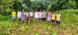 हाथियों के आतंक से सोनाहातु के किसान परेशान। 10 IMG 20241009 WA0074