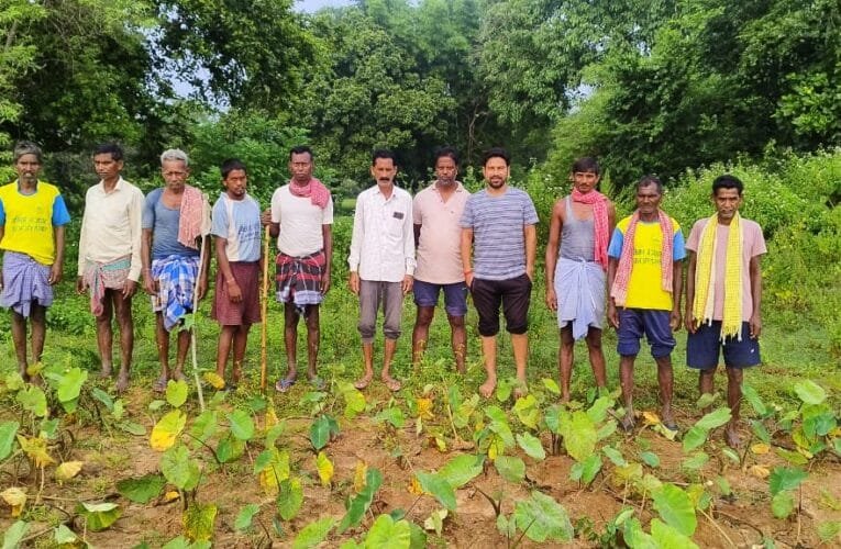 हाथियों के आतंक से सोनाहातु के किसान परेशान।