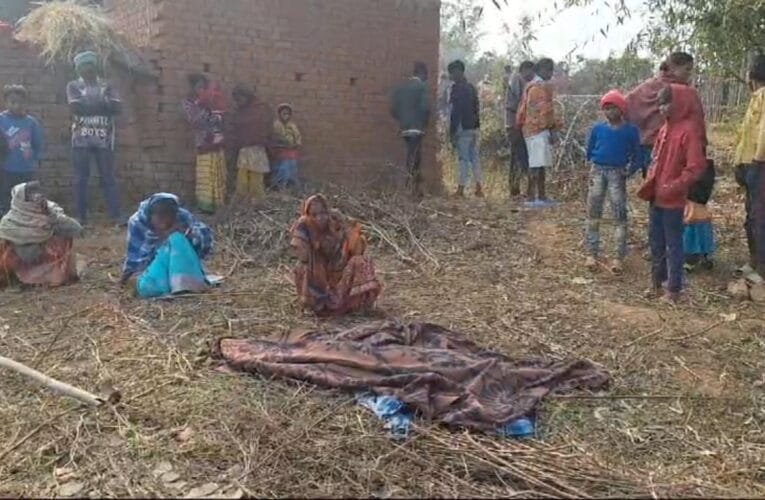 हाथी के हमले से एक व्यक्ति की हुई दर्दनाक मौत।