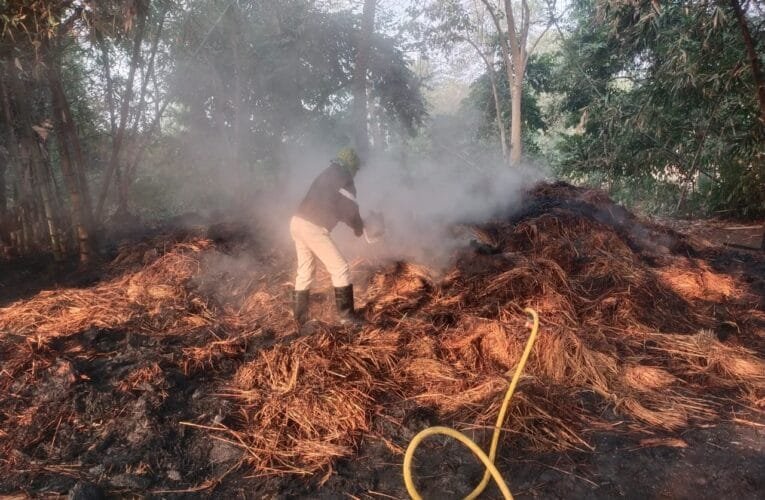 पलासी गांव में धान की खलियान में लगी आग।