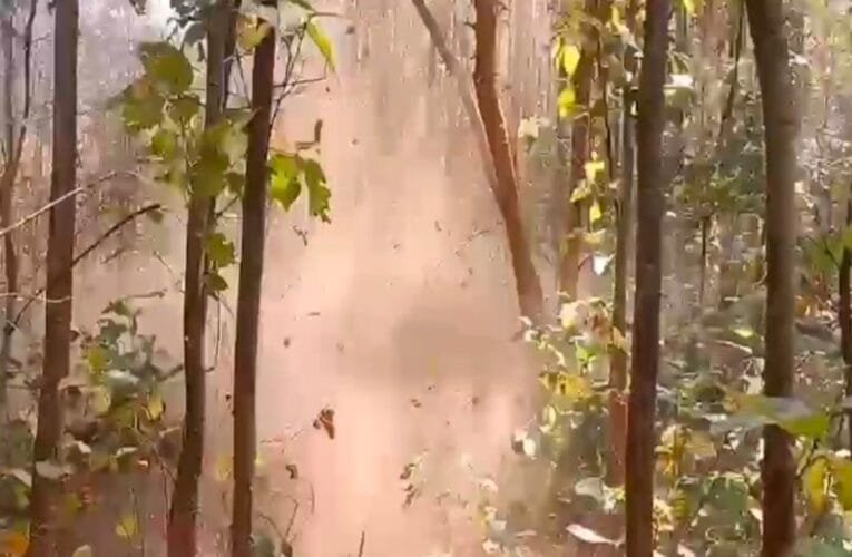 चाईबासा के जंगल में आईईडी विस्फोट ,सीआरपीएफ का एक जवान घायल