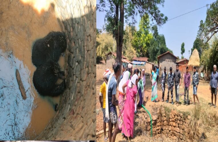 गुमला कुएं में गिरे दो भालू , वन विभाग निकालने का कर रही है प्रयास ,नर और मादा भालू एक साथ कुएं में गिरे
