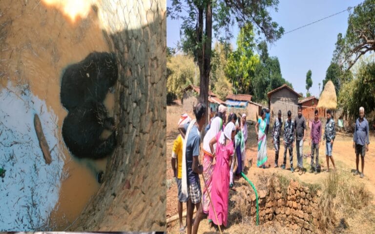 गुमला कुएं में गिरे दो भालू , वन विभाग निकालने का कर रही है प्रयास ,नर और मादा भालू एक साथ कुएं में गिरे