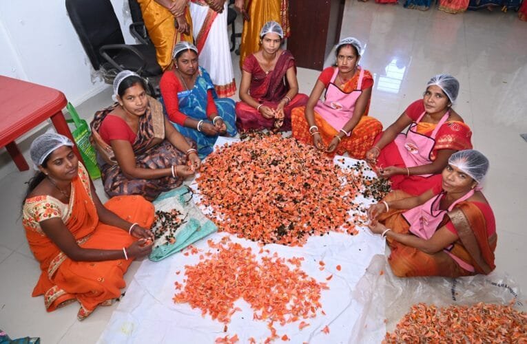 पलाश हर्बल गुलाल प्रदर्शनी सह बिक्री स्टाल का रांची, हजारीबाग, पलामू, चतरा, रामगढ, खूंटी , लोहरदगा में हुआ शुभारंभ।