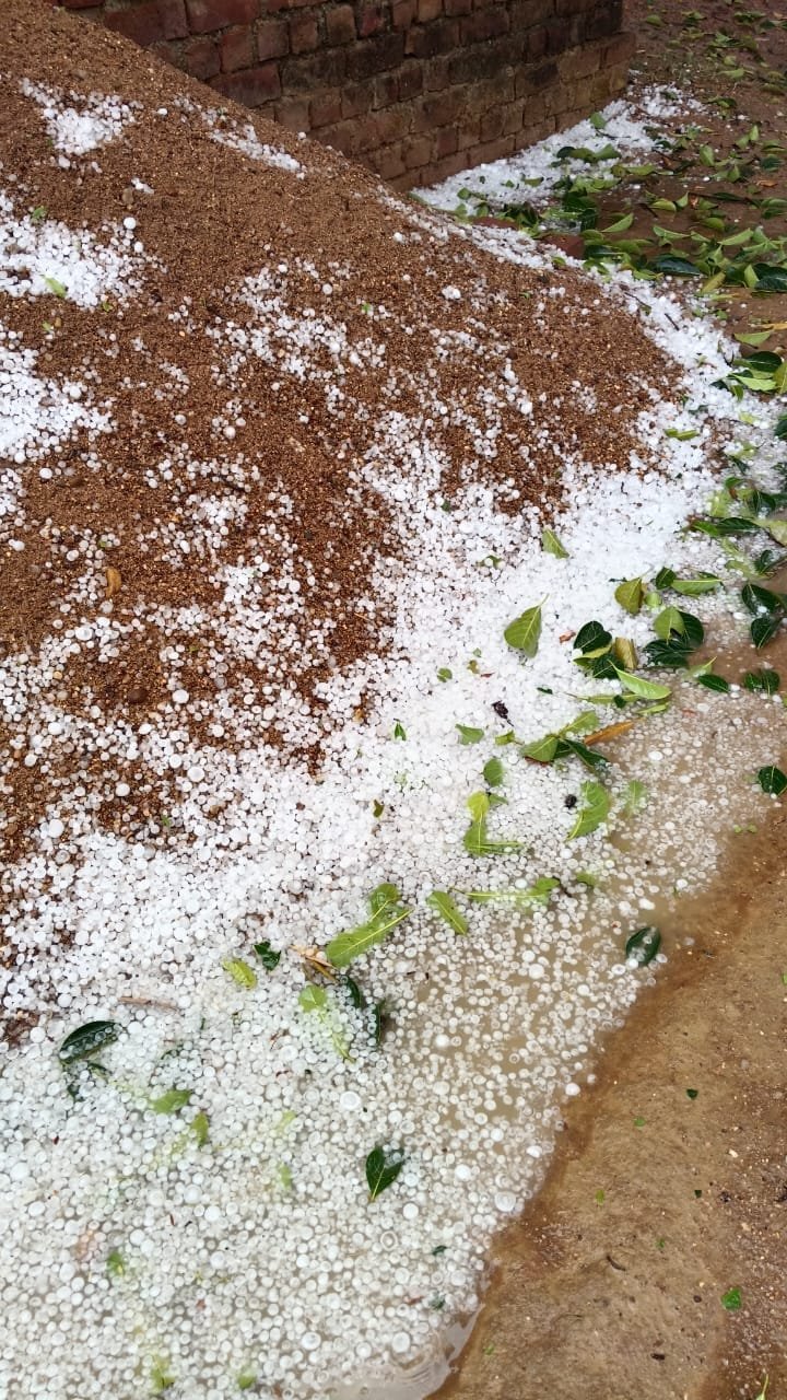 किसानों को हेमंत सरकार राहत देने की कोशिश ओलावृष्टि से हुई फसल के नुकसान की भरपाई के लिए आकलन का निर्देश। 4 IMG 20250321 WA0089