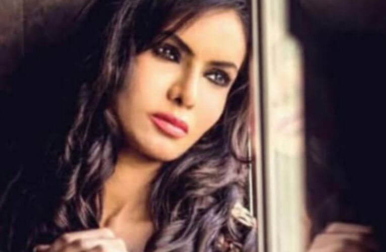 कर्नल सोफिया कुरैशी की बहन शाइना सुन्सारा: मिस इंडिया अर्थ 2017 की चमकती सितारा