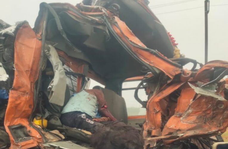 गिरिडीह में भीषण सड़क हादसा, सीमेंट लदी वाहन और मवेशी लदी वाहन के बीच भीषण टक्कर, घटनास्थल पर हुई दोनों वाहन चालकों समेत दर्जनों मवेशियों की मौत।