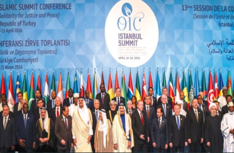 OIC में पाकिस्तान को बड़ा झटका, भारत की कूटनीतिक जीत, मुस्लिम देशों का मिला साथ