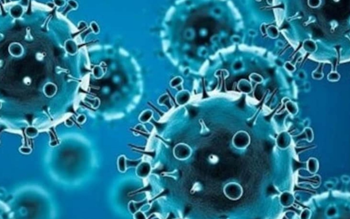 भारत में कोविड-19 के बढ़ते मामले: नया वैरिएंट JN.1 बढ़ा रहा चिंता, सरकार अलर्ट 4 20250526 140457