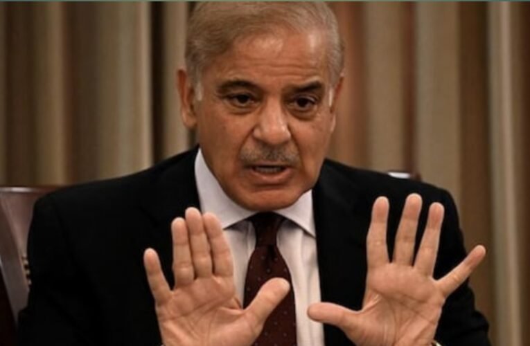 पाकिस्तान के पीएम शहबाज शरीफ ने भारत के साथ शांति वार्ता की पेशकश की