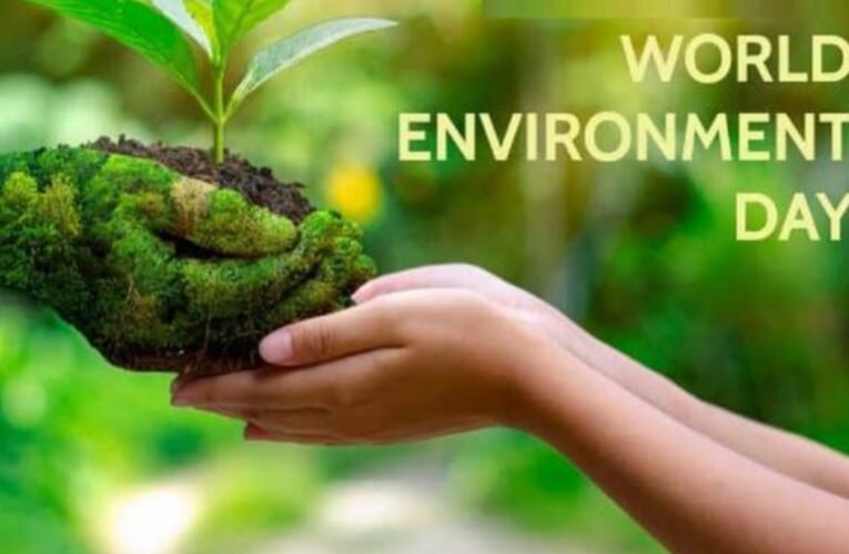 विश्व पर्यावरण दिवस 2025: इतिहास, महत्व और इस साल की थीम “प्लास्टिक प्रदूषण को हराएं”
