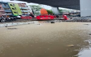 नई सौगात, पुरानी समस्या - फ्लाईओवर के नीचे नालियां लबालब" कहां है नगर निगम ? 2 20250618 134619