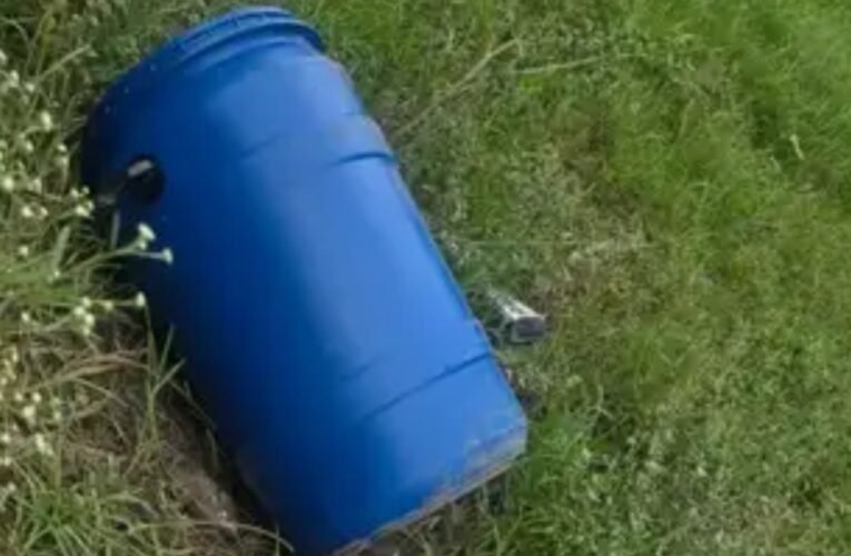 लुधियाना में नीले ड्रम से मिला शव, मेरठ के बाद फिर डरावना खुलासा, पुलिस जांच में जुटी