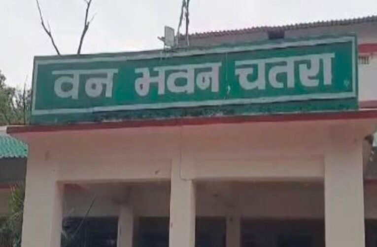 चतरा में वन विभाग की बड़ी कार्रवाई: 300 टन अवैध कोयला जब्त, 10 हाइवा और वैगनआर कार पकड़ी, चार गिरफ्तार