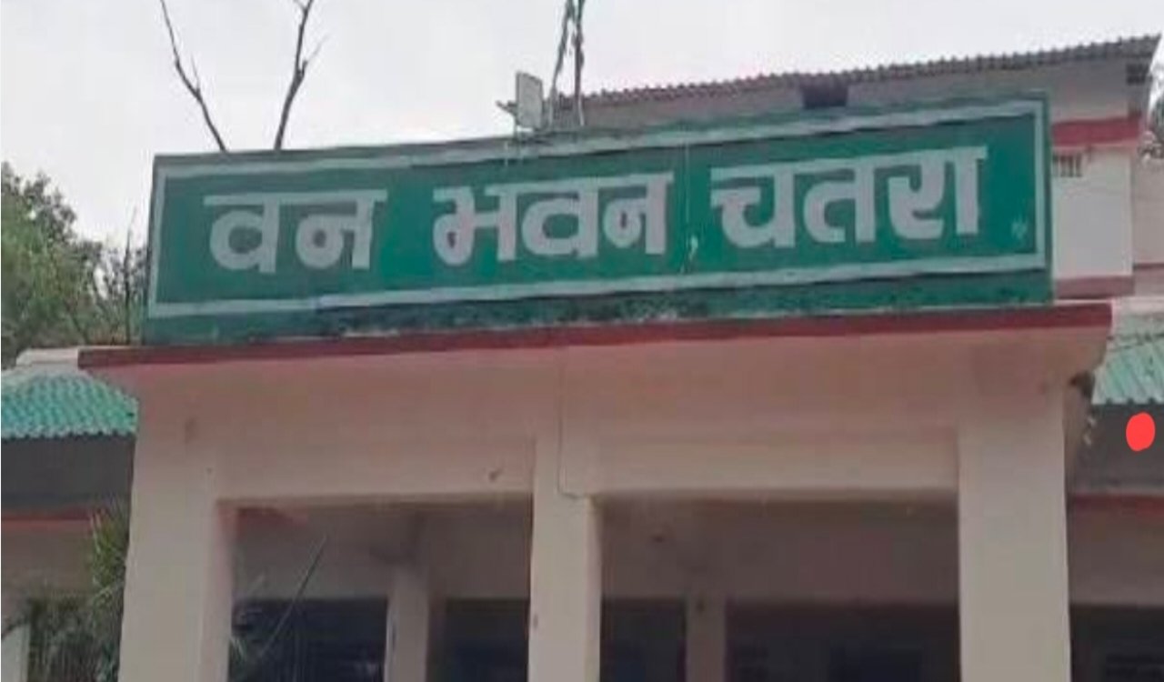 चतरा में वन विभाग की बड़ी कार्रवाई: 300 टन अवैध कोयला जब्त, 10 हाइवा और वैगनआर कार पकड़ी, चार गिरफ्तार 4 20250628 112027