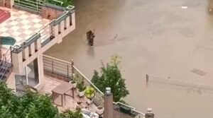 ऊपर विकास नीचे विनाश , घंटे भर की पानी मे शहर बना तालाब , दुकानों में घुसा पानी , कहाँ है नगर निगम ? 9 Screenshot 20250622 183608