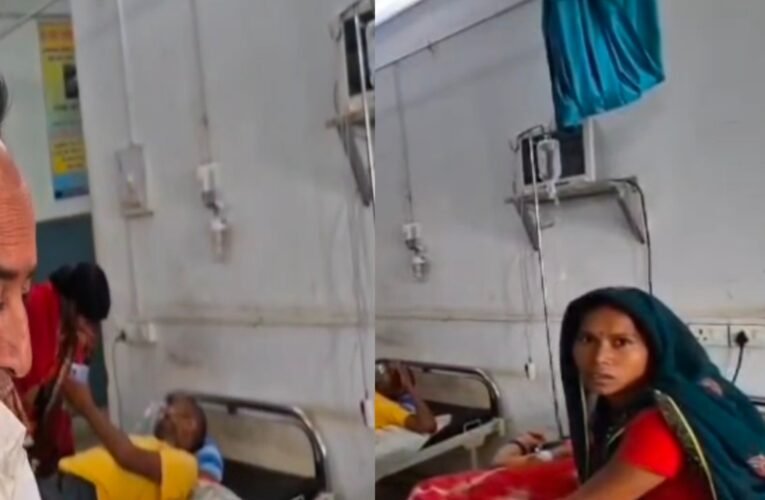 जंगली मशरूम खाने से कोडरमा में एक परिवार के चार लोग गंभीर रूप से बीमार, रिम्स रेफर