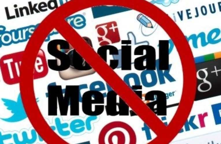 पाकिस्तानी सेलिब्रिटीज के सोशल मीडिया अकाउंट पर भारत में दोबारा बैन, सबा कमर से दानिश तैमूर तक पर कार्रवाई