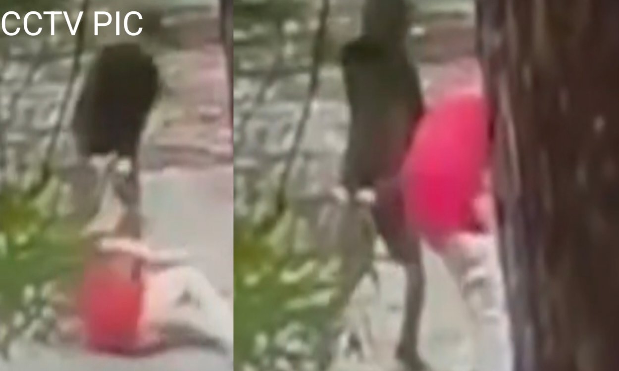 गुमला में व्यवसायी विनोद जाजोदिया की हत्या: सीसीटीवी फुटेज ने खोली क्रूर वारदात की सच्चाई 4 20250707 132215